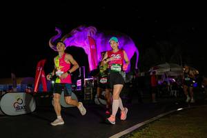 BIB: 
                            <button type="button" onclick="openModal(26543924)" class="btn btn-primary btn-sm float-right btn-popup" data-toggle="modal" data-target=".modal-high-quality">
                        <i class="fas fa-shopping-cart"></i> Add to Cart
                    </button>
                                            <button type="button" onclick="isThisMe(26543924, true)" class="btn btn-success btn-sm float-right btn-popup btn-isme hidden" data-toggle="tooltip" data-placement="bottom" title="นี่คือรูปของคุณใช่ไหม คลิกที่นี่เพื่อเอาเข้าอัลบั้ม">
                        <i class="fas fa-plus"></i> Add to album
                    </button>
                    <button type="button" onclick="isThisMe(26543924, false)" class="btn btn-warning btn-sm float-right btn-popup btn-isnotme hidden">
                        <i class="fas fa-ban"></i> Remove from album
                    </button>